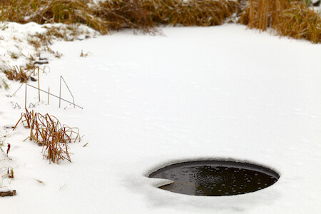 Winterize a Pond