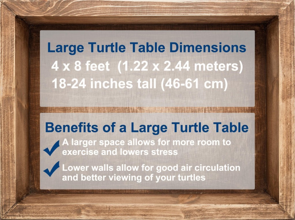 Benefits of a turtle table