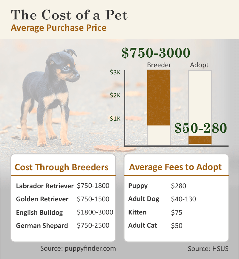 cost of adoption vs breeder