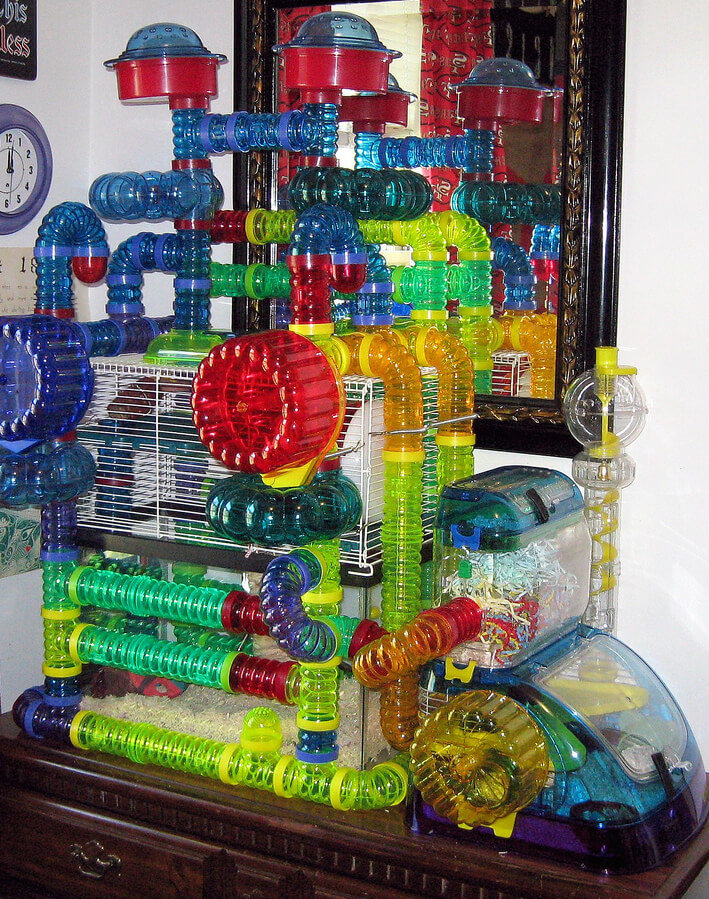 extreme modular plastic hamster habitat