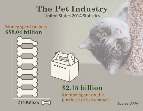 pet industry stats united states