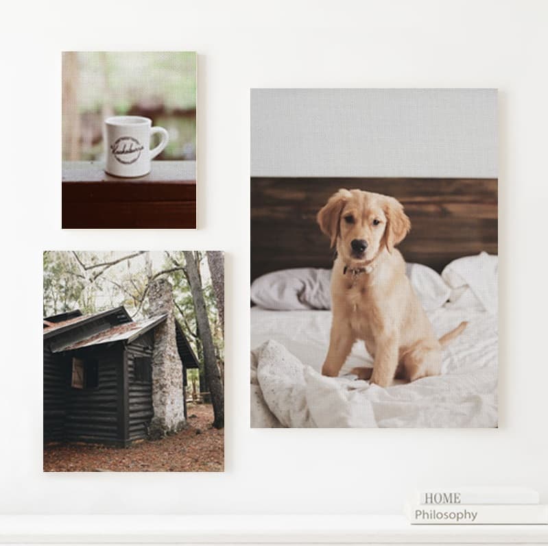 canvas prints