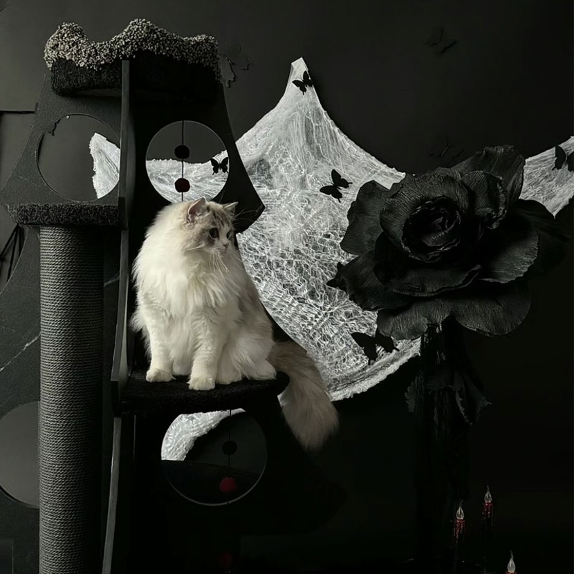 cat on a themed cat tree