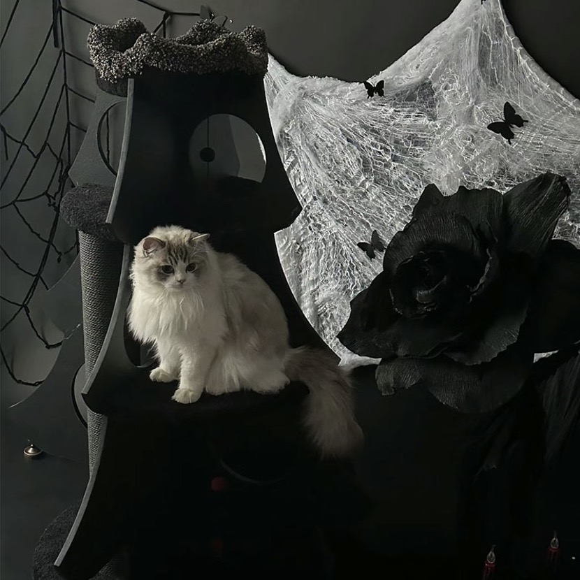 cat on a decorative cat tree