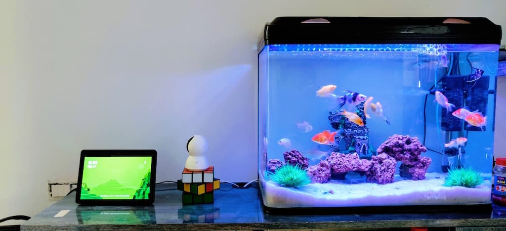 fish tank on desk