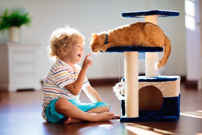 boy playing with cat