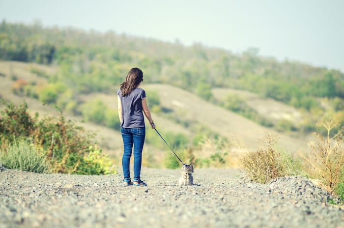 woman walking a cat