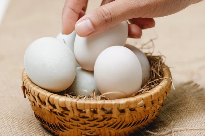 basket of eggs