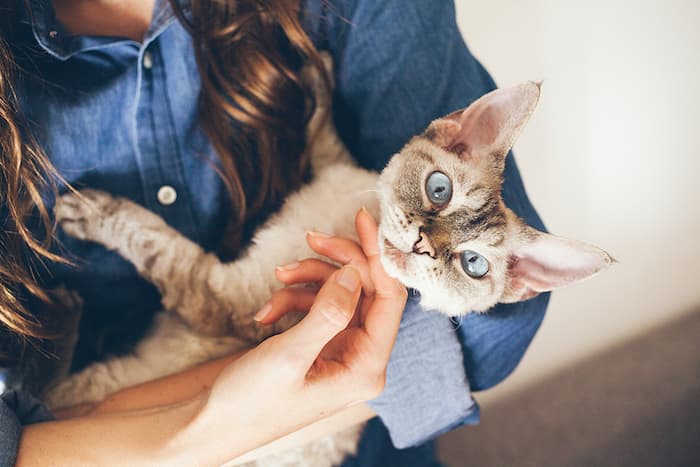 woman holding a devon rex cat