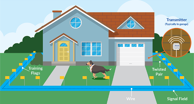 dog fence setup graphic