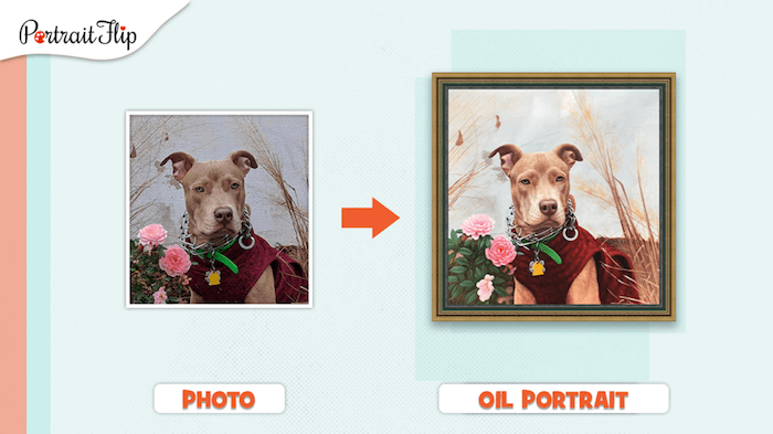 dog portrait