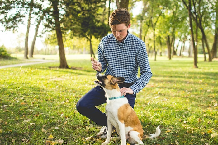 dog and owner in the park