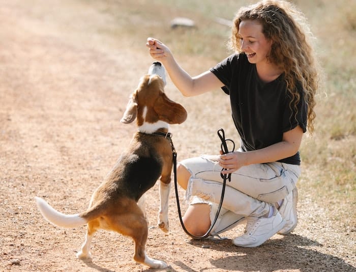 beagle and owner