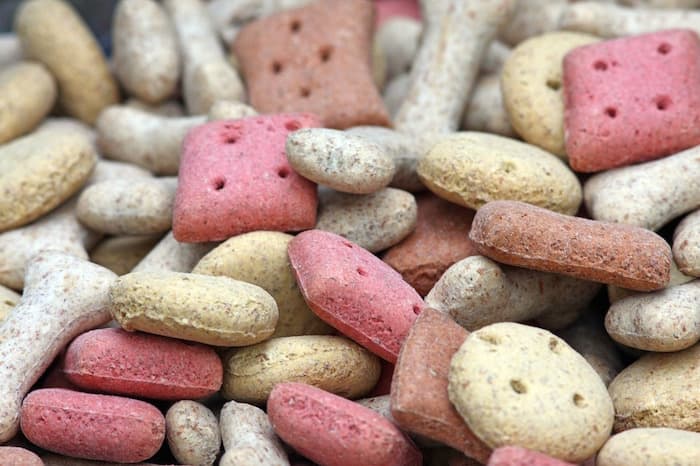 dog bisciuts