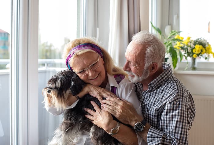 dog with older couple