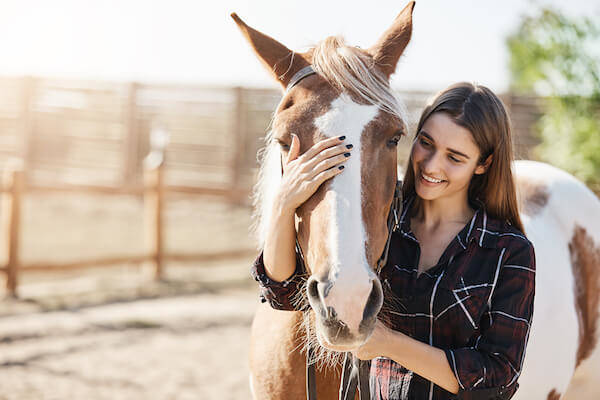 equine therapy