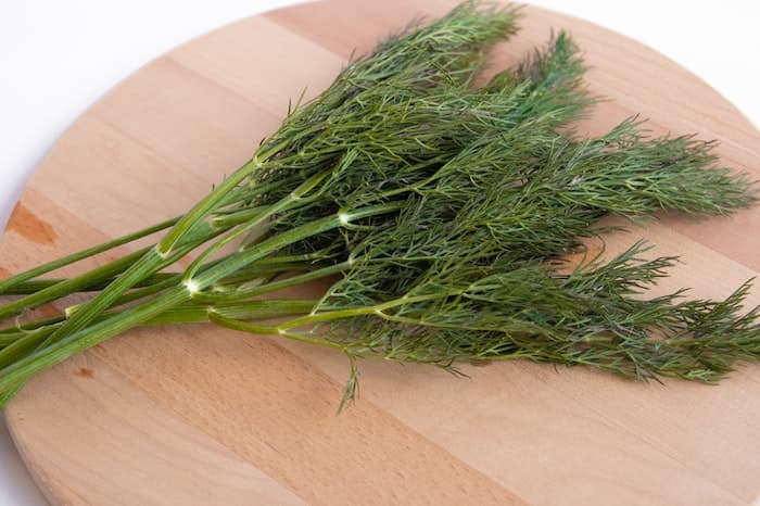 fennel