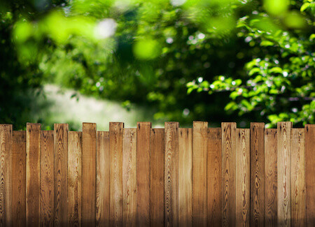 Garden Fence