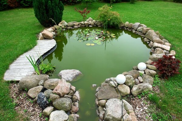 Outdoor Goldfish Pond Care Maintain Health Living for Fish Plants