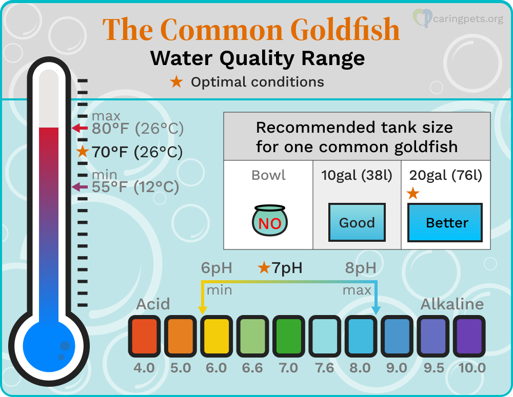 common goldfish water quality chart