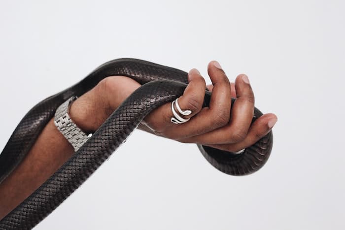 holding a snake