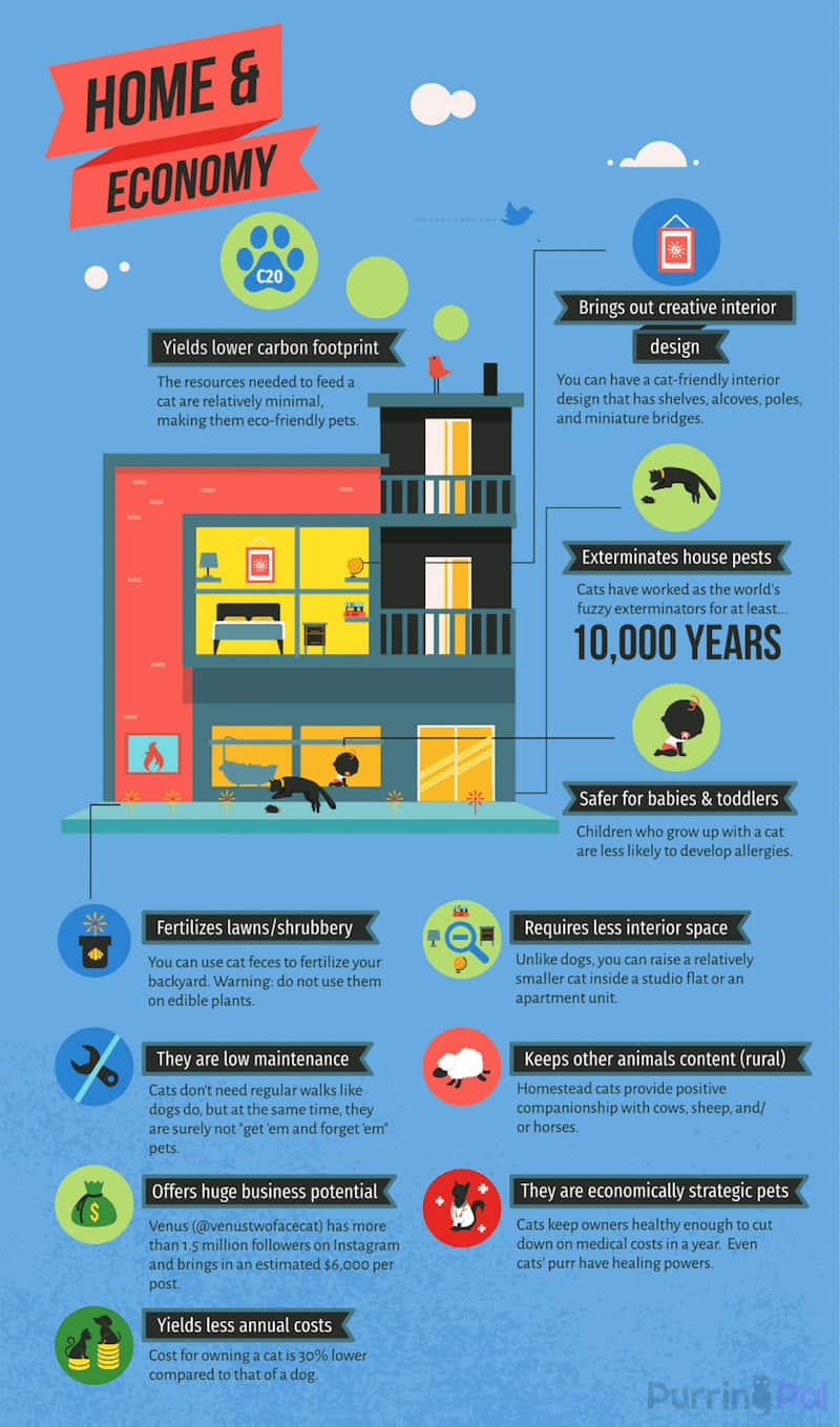cat ownership economy