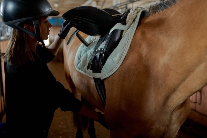 horse with rider putting on saddle