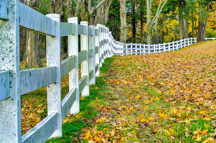 fence in pasture