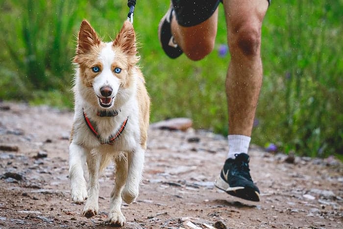 man running with dog