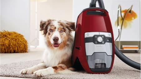 vacuum for pet hair