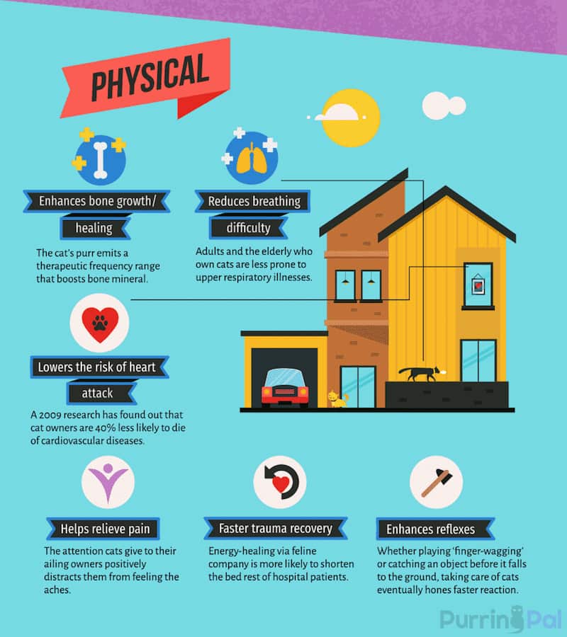 physical benefits kitty