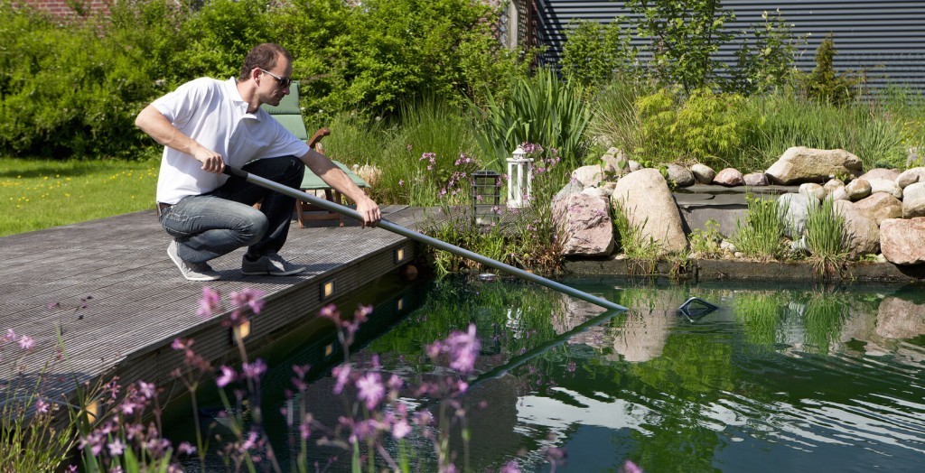 Pond Maintenance