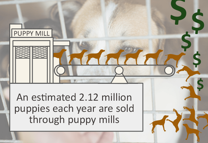 Puppy Mill Sales