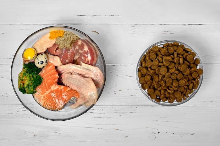 dog food bowl next to bowl of raw food