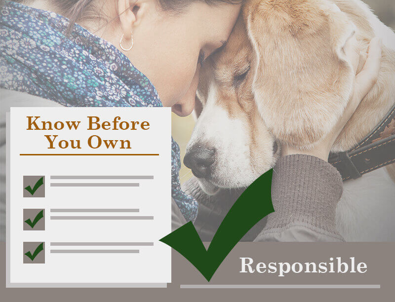 Responsibility