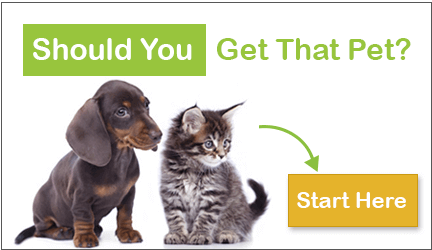 should-you-get-that-pet-cta