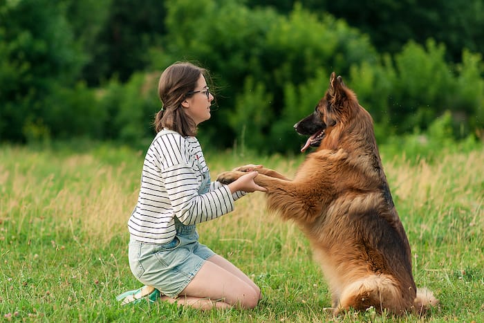 woman training dog