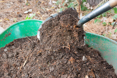 Compost Box Turtle Bedding