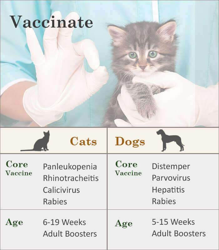 vaccination schedule