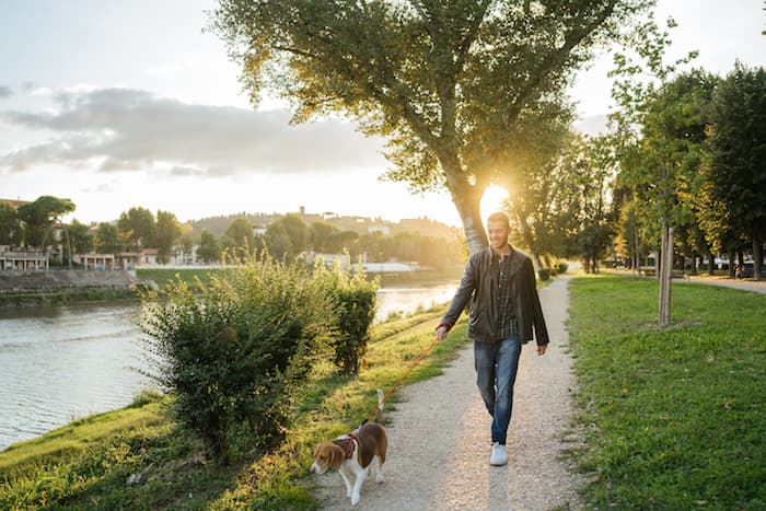 walking a dog