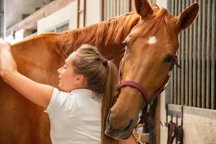 woman caring for a horse