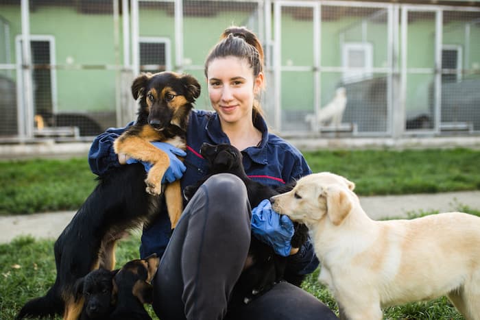 woman with dogs