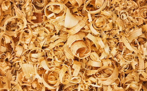 Wood Shavings for Hamster Bedding